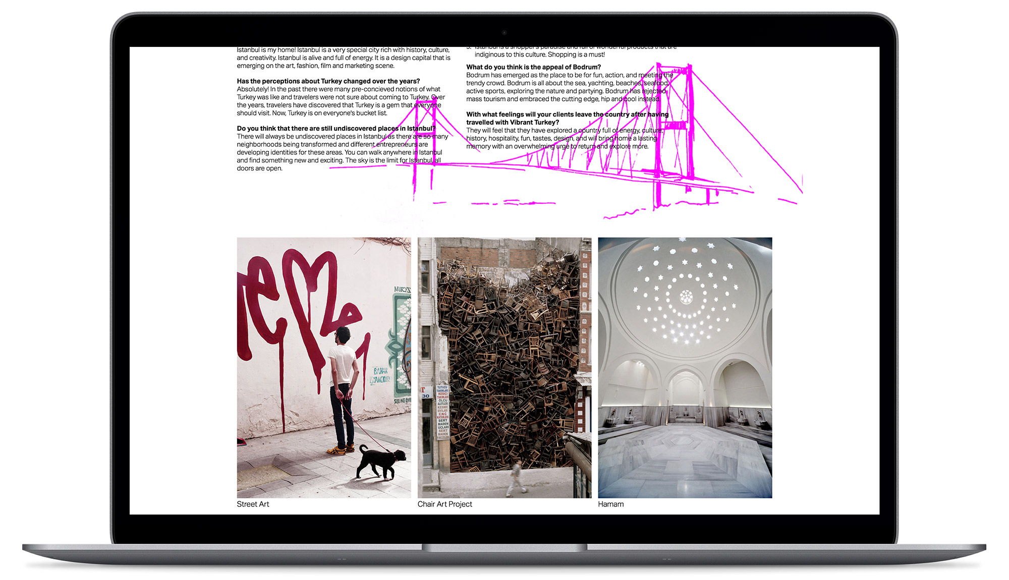 <strong>Vibrant Turkey</strong>